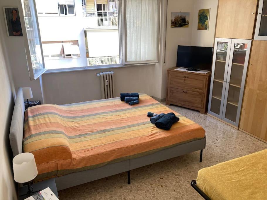 Vibes Apartamento